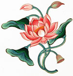 Lotus