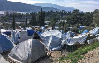 Samos jungle tents